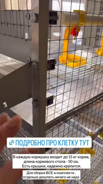 блогеры о наших клетках, в кадре - Автокорм на 45 кур #подворье #куры