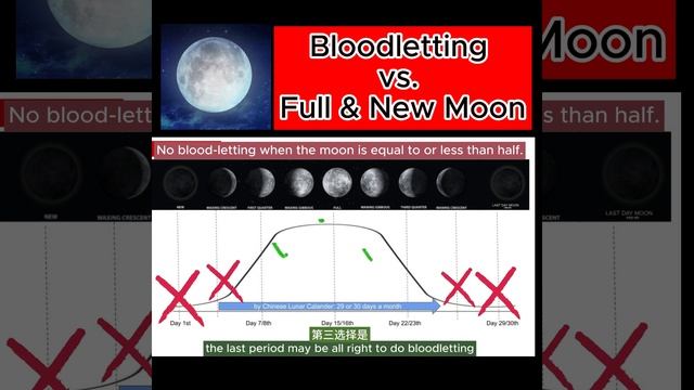 Full Moon, New Moon & Bloodletting in Chinese Medicine # Shorts смотреть онлайн