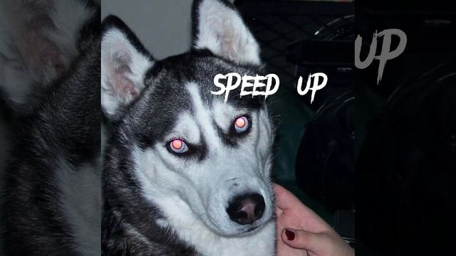 HUSMUT|миллион-speed up,remix смотреть онлайн