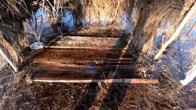 Подготовка к утиной охоте , вода препятствует.... смотреть онлайн