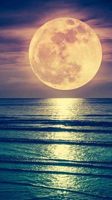 MARCH 10 ➡️ SUPER NEW MOON!#spacenews #supermoon #sciencenews #spacefacts #moonfacts