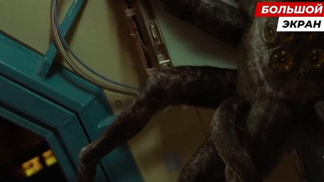 Паук-психотерапевт в космосе 🕷️🌌 смотреть онлайн