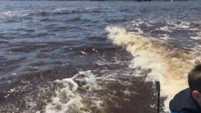 Boating and went 42.5 mph with a 115 Mercury смотреть онлайн