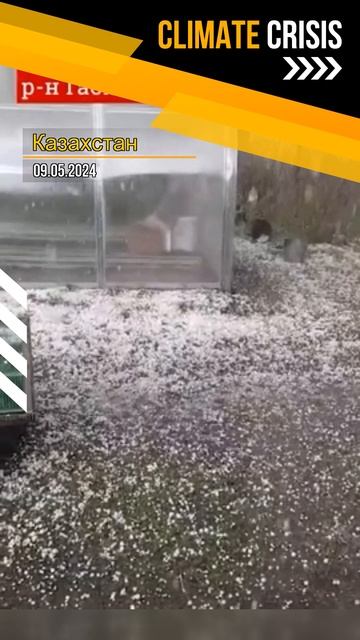 Необычное майское явление в Казахстане. смотреть онлайн