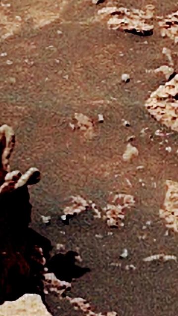Mars:          Perseverance Rover Captured weird Shape of Rocks!!#short #youtubeshorts