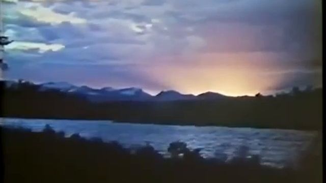 SASQUATCH: THE LEGEND OF BIGFOOT - 1976 CRYPTID CULT CLASSIC смотреть онлайн