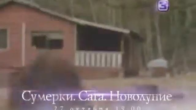 Сумерки Сага смотреть онлайн