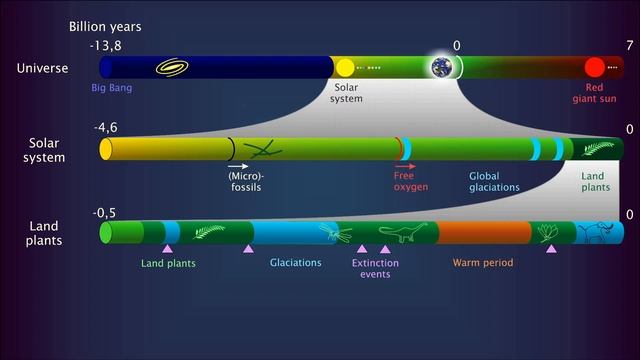 History of the universe, life and all the rest смотреть онлайн