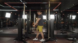 Standing Low Row for upper back (Тяга с нижнего блока стоя на верх спины)