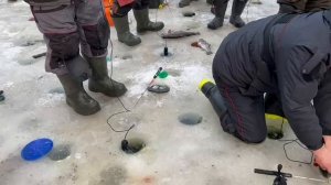 04.02.25 г. РК Волна