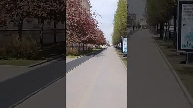 #грозный  Прогулочка по городу. 19 апреля 2023  #моипутешествия