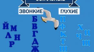 ГЛАСНЫЕ И СОГЛАСНЫЕ ЗВУКИ И БУКВЫ