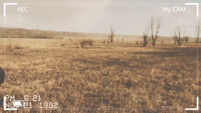 Открытие охоты) походили , поснимали. Что Вам интересно было бы узнать об охоте? смотреть онлайн