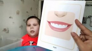 Карточки домана. Профессии. Части тела.