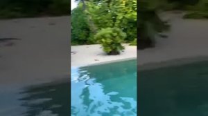 Билан на Мальдивах 😍🔥