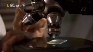 НЕДРЫ ЗЕМЛИ  Документальные фильмы National Geographic