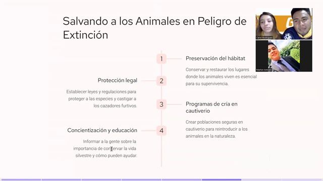 Especialidad de Animales en peligro de extinción смотреть онлайн