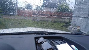 Как избавится от ОС или ПЧЕЛ  на даче