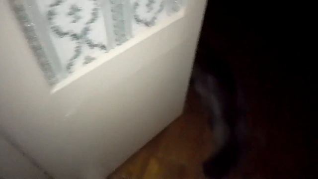 Кот Марс. Позвал в ночь. Злючка и игра в прятки. смотреть онлайн