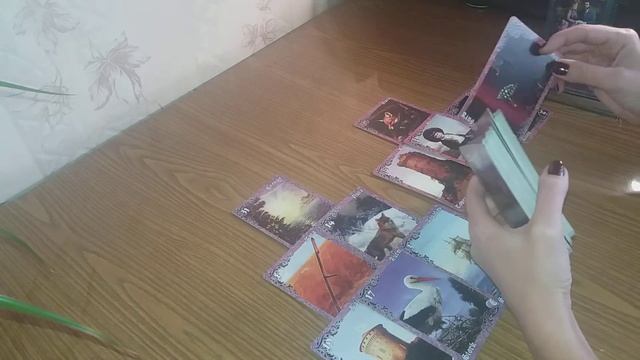 РАКИ. Конец 2019 - начало 2020 смотреть онлайн