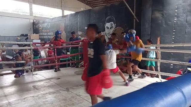 Jerome Cometa sparing with Payla and alien смотреть онлайн