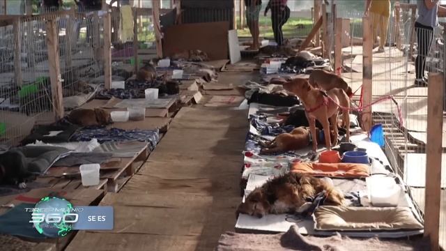 Crisis climática provoca caos en todo el mundo | Evidencia de la existencia de Esferas de Dyson смотреть онлайн