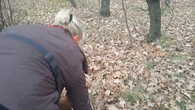 н\о Марс .следовая .тренинг 4\11\23 смотреть онлайн