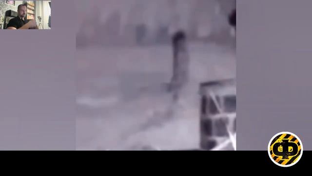 Корову сбросили с НЛО: мистическая видеоподборка смотреть онлайн