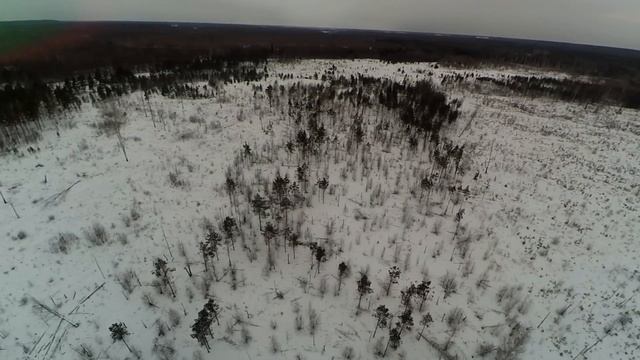 игра найди лосяша со 100 метров смотреть онлайн