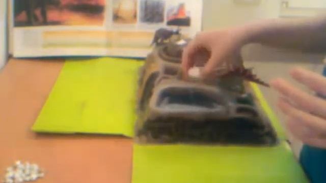 Почему вымерли динозавры? смотреть онлайн