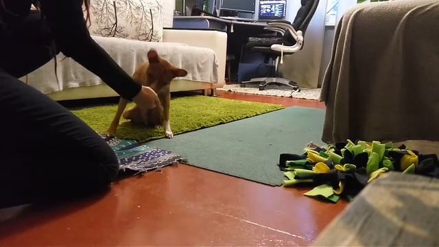 Марс. "Запах" смотреть онлайн