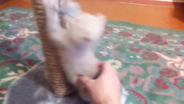 Марс 8.01.16 смотреть онлайн