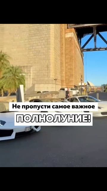 НЕ ПРОПУСТИ ВАЖНОЕ ПОЛНОЛУНИЕ В ФЕВРАЛЕ НА ДЕНЕЖНОМ АСПЕКТЕ! #полнолуние #новолуние #коридорзатмени смотреть онлайн