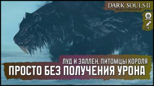 [No-Hit] Луд и Заллен, питомцы короля | Отвратительный босс... 🡆 Dark Souls 2: SotFS