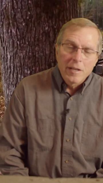 Wedge and Borecut #shorts #chainsaw #chainsawsafety смотреть онлайн