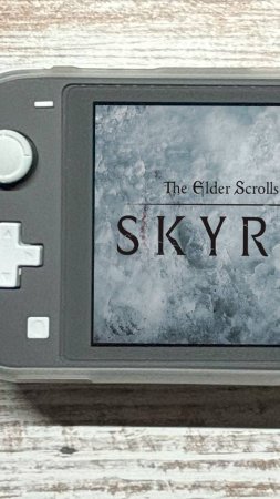 The Elder Scrolls 5 Skyrim Nintendo Switch Lite Gameplay