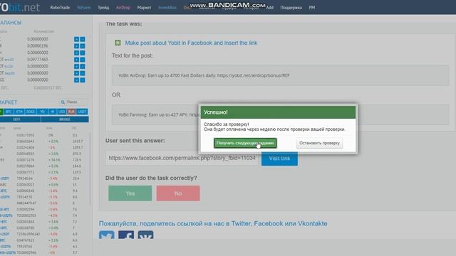 Yobit За проверку пользователей 100 Fast Dollars FUSD смотреть онлайн