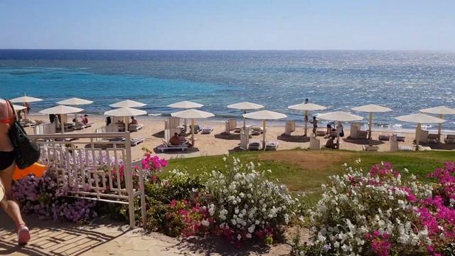 Fantazia Resort, Marsa Alam, 10.05.2019 смотреть онлайн