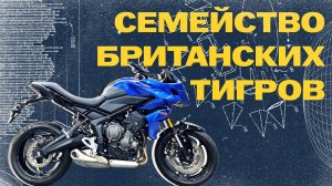 Обзор на Triumph Tiger