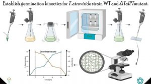 Perception and response to cytokinins in Trichoderma... - David Alberto García Estrada - LA 2022