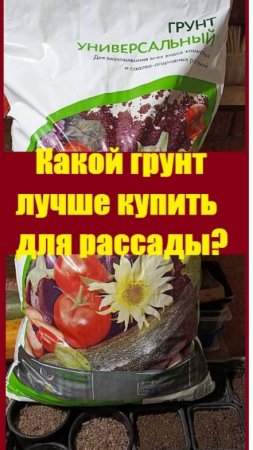 Какой грунт я купила для выращивания рассады  в этом году?