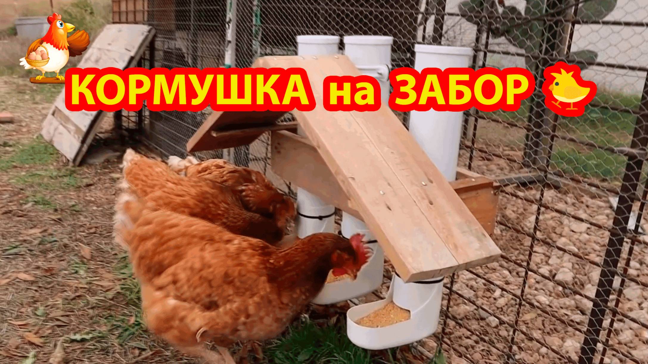 Кормушка курам несушкам на забор и с навесом-крышей от дождя 💦🐓❣️