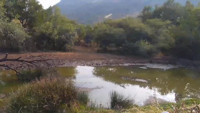 The Occasional Solar Flash ing Events are now Daily Events. Early Morning 13.05.2024.