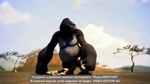 мультик про обезьянок
