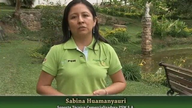 Tropical Cis, Hacienda Santa Barbara. 7 de junio 2016 смотреть онлайн