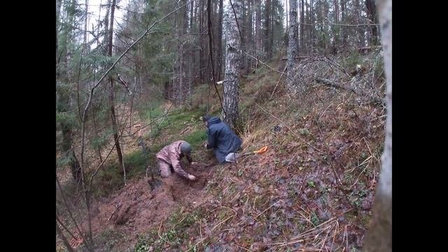 Хроники поиска