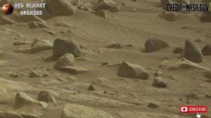 NASA's Mars 4k Stunning Footage By Perseverance Rover | Mars Live | New Mars 4k Video | Mars Video