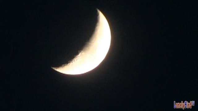 The Moon On May 15 2013 смотреть онлайн