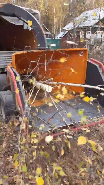 20 октября 2022 г. смотреть онлайн