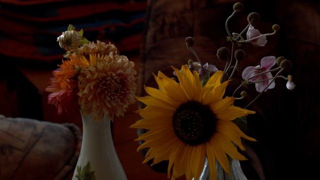 BMPCC & the Jupiter 8 - 2/50mm lens смотреть онлайн